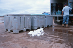 Cargo Transportation
